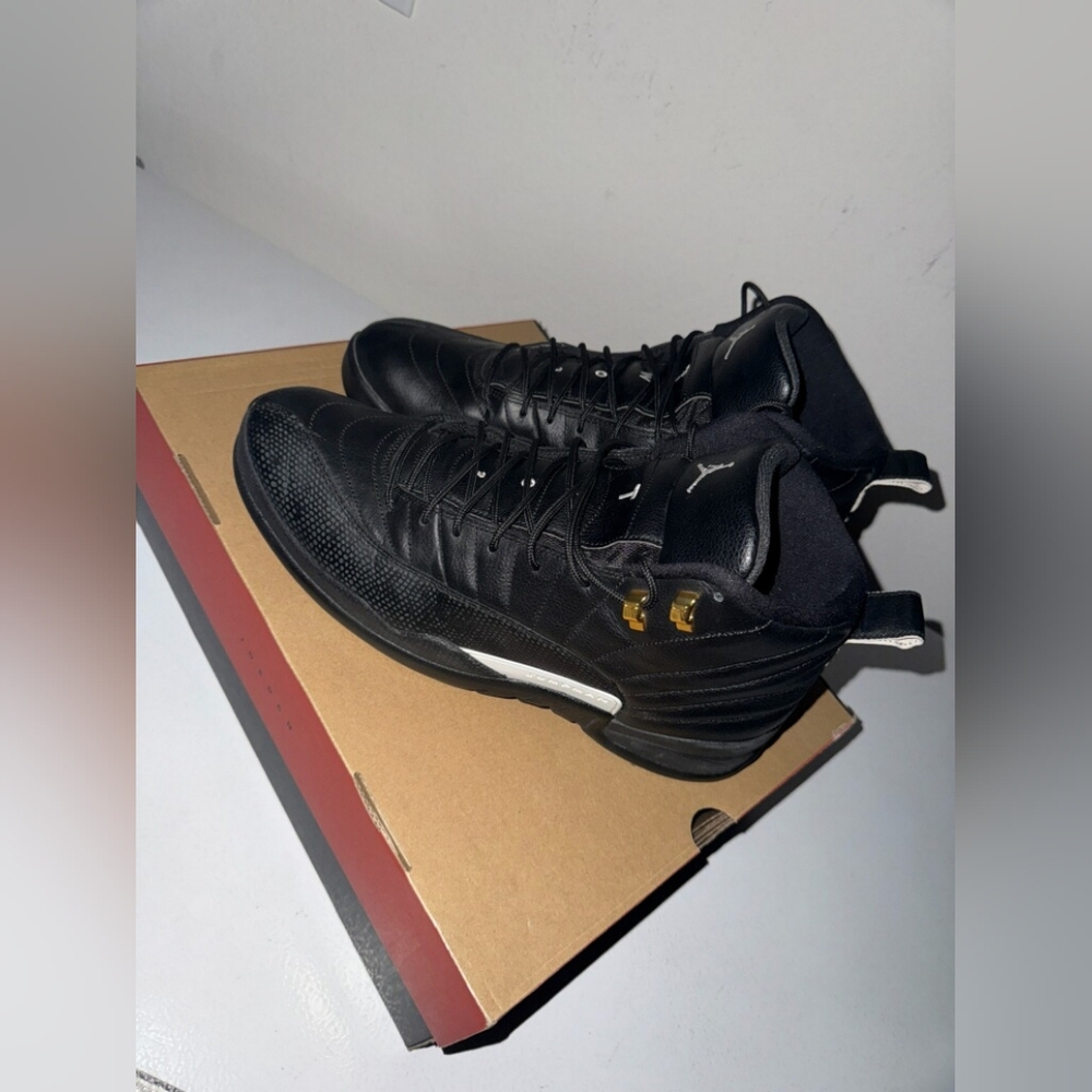 Air Jordan RETRO 12